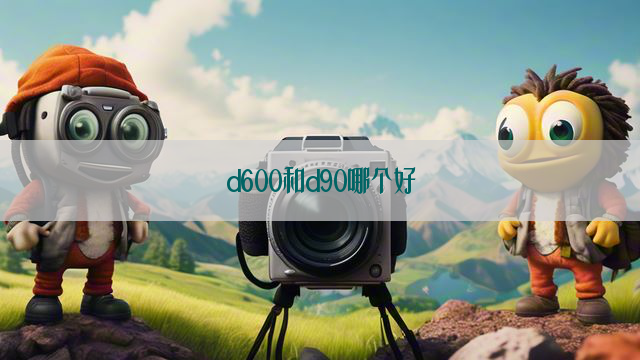 d600和d90哪个好