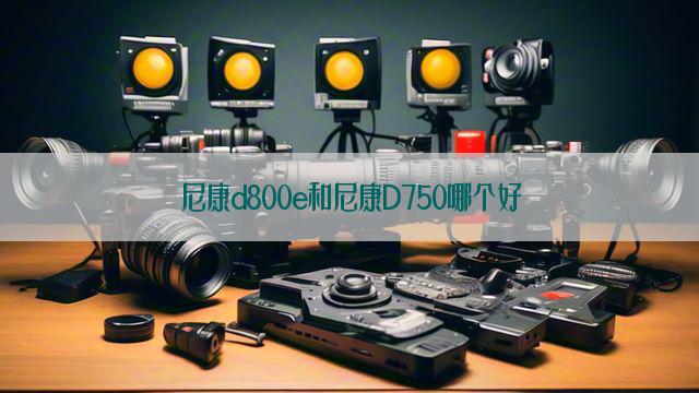 尼康d800e和尼康D750哪个好