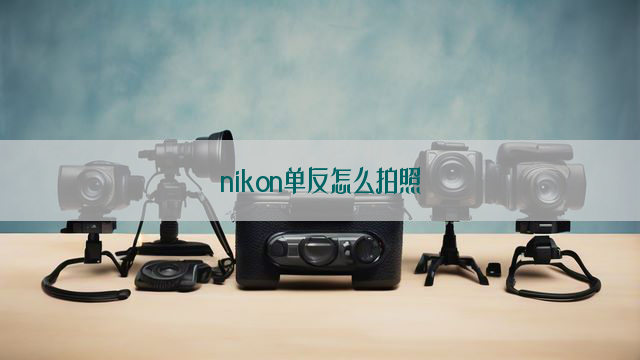 nikon单反怎么拍照