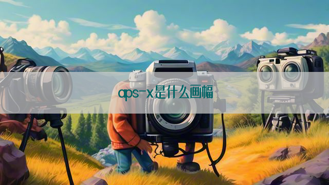 aps-x是什么画幅