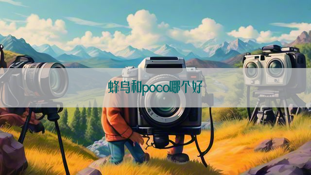 蜂鸟和poco哪个好