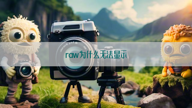 raw为什么无法显示