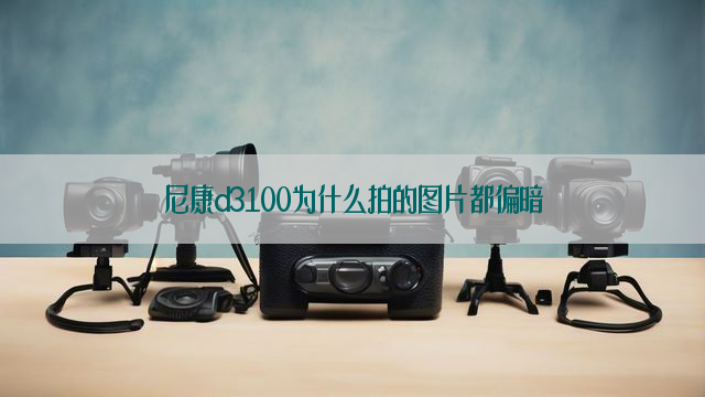 尼康d3100为什么拍的图片都偏暗