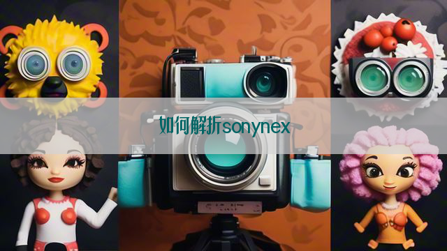 如何解折sonynex