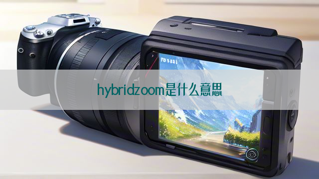 hybridzoom是什么意思