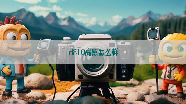 d810高感怎么样