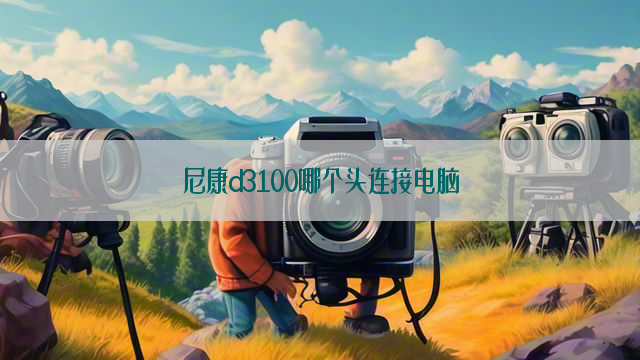 尼康d3100哪个头连接电脑