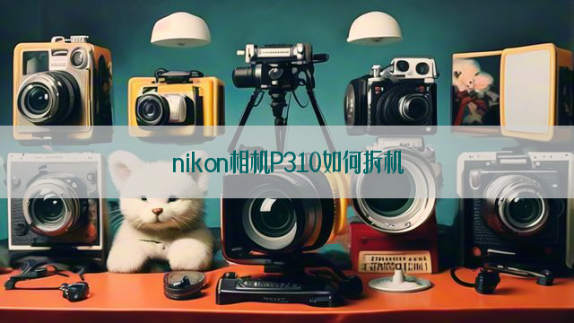 nikon相机P310如何拆机