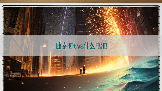 康泰时tvs什么电池