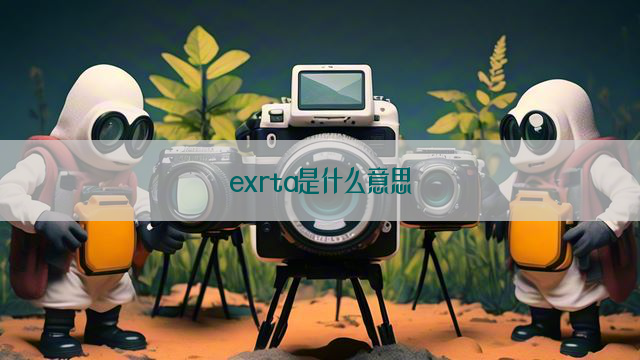 exrta是什么意思