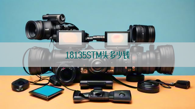 18135STM头多少钱