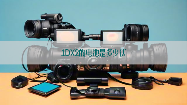 1DX2的电池是多少伏