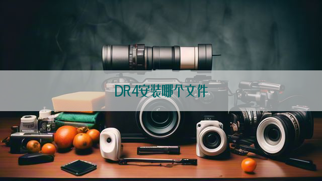 DR4安装哪个文件