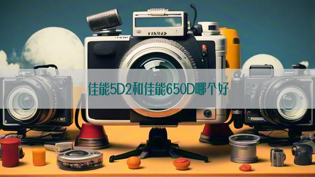 佳能5D2和佳能650D哪个好