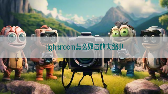 lightroom怎么双击放大缩小