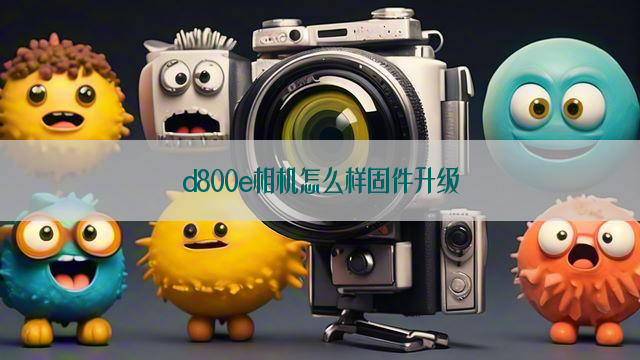 d800e相机怎么样固件升级