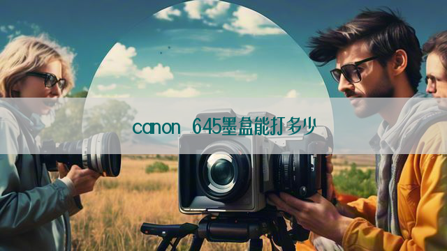 canon 645墨盒能打多少