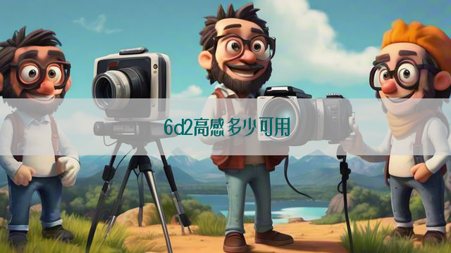 6d2高感多少可用