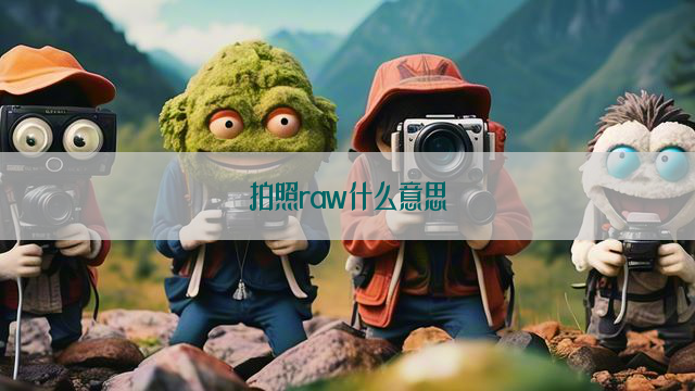 拍照raw什么意思