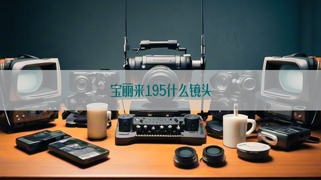 宝丽来195什么镜头