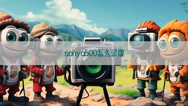 sonya500怎么录像